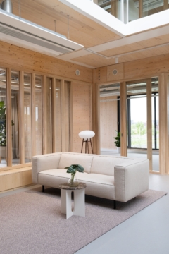 Plywood in Ter Steege Offices - Den Hoorn
