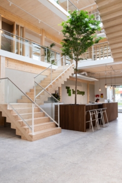 Plywood in Ter Steege Offices - Den Hoorn
