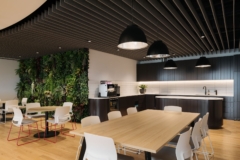 Green Wall in Intex Offices - Melbourne