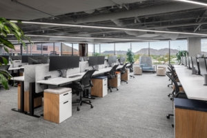 Lessen Offices - Scottsdale