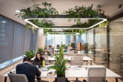 Plants in PwC Offices - Sao Paulo