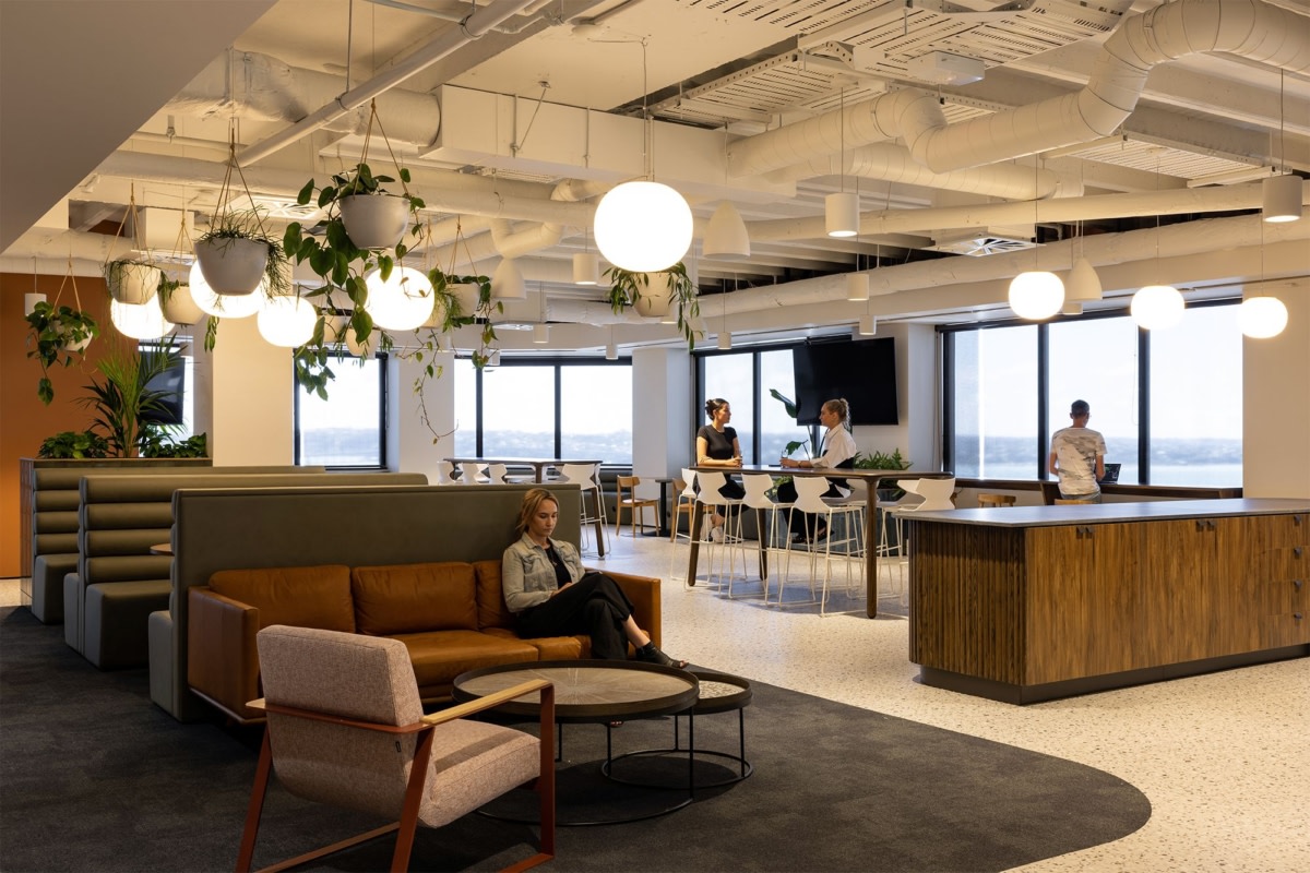 Arvida Group Offices - Auckland | Office Snapshots