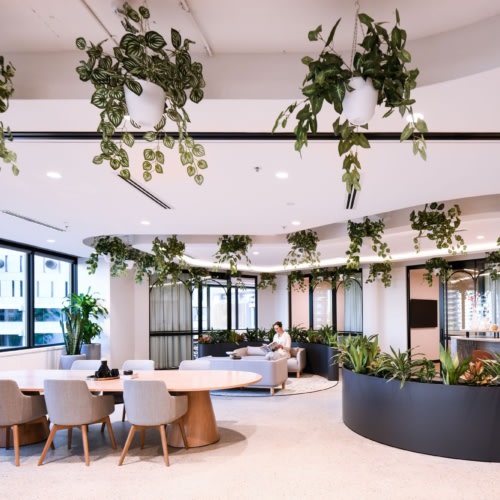 recent 255 George Street Spec Suite – Sydney office design projects