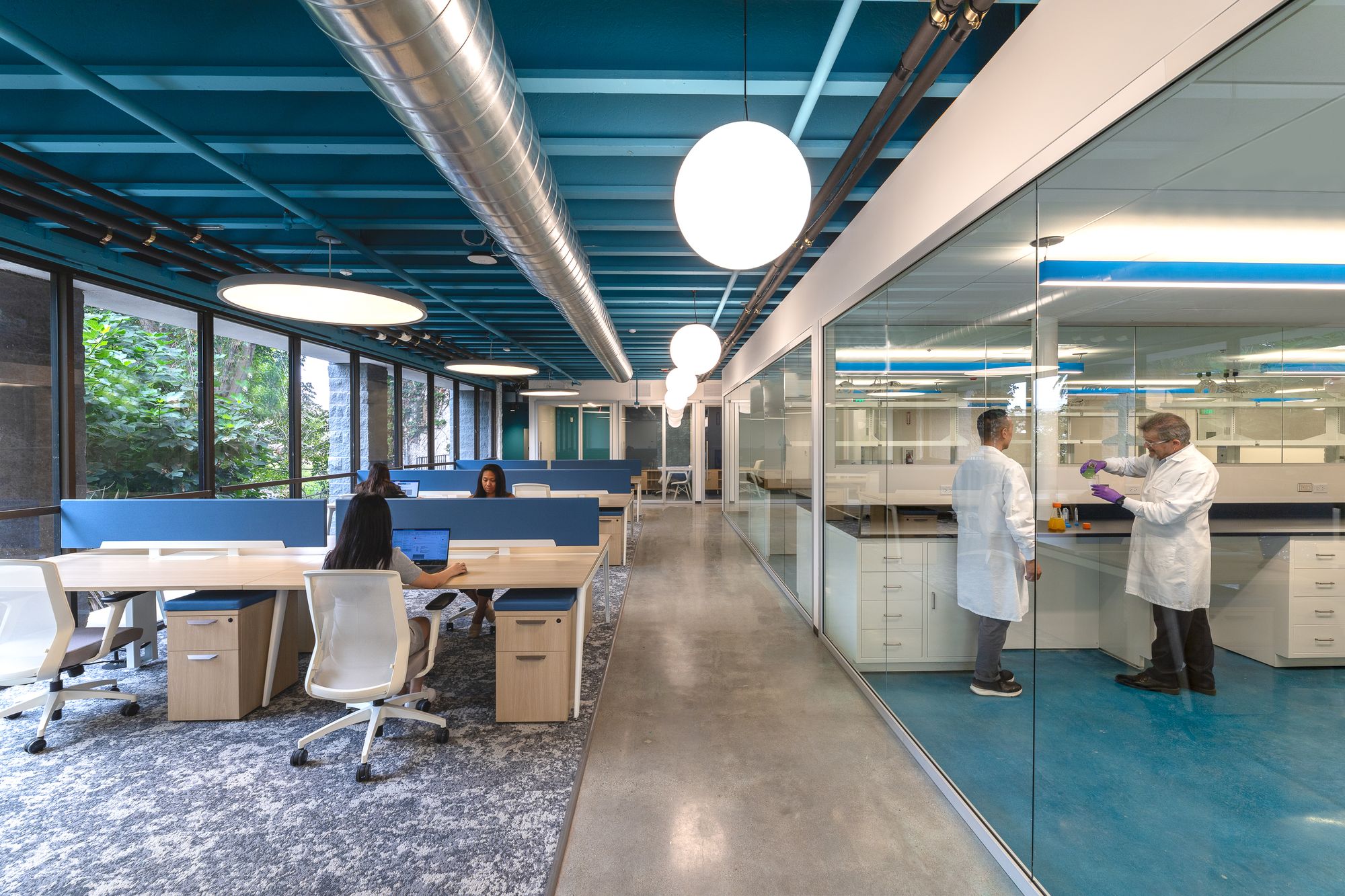 Arnata office