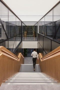 Stair and Handrail in HFW Offices - London