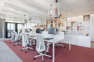 Nemera Offices - Lyon