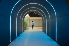Neon in VcanBio Group Offices - Jinan