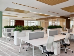 Work Spaces in Confidential Client Offices - Istanbul