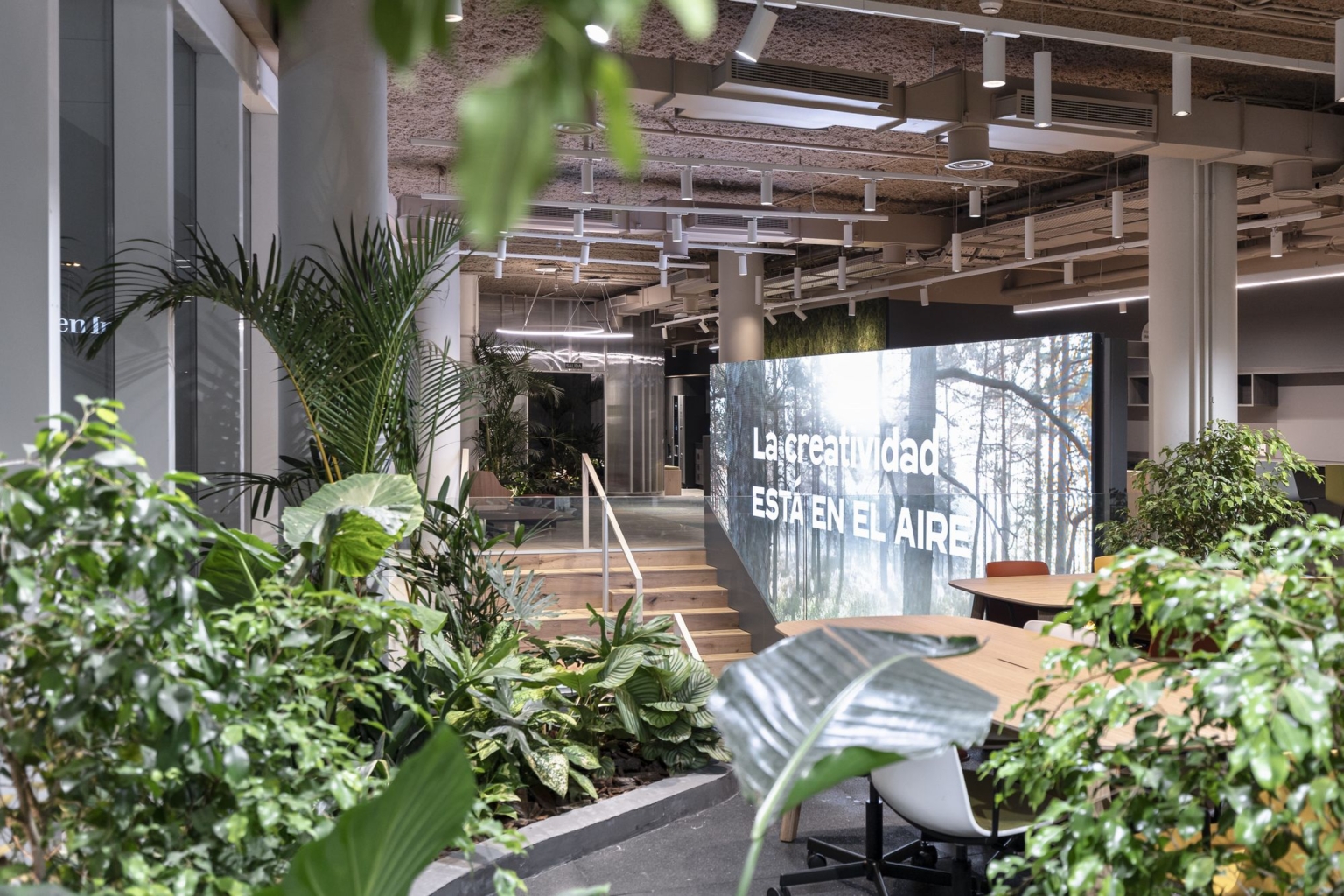 BASF Offices - Montevideo | Office Snapshots