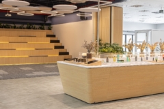 Lighting in doTerra Brasil Offices - Joinville