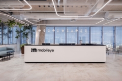 Sofas / Modular Lounge in Mobileye Offices - Ramat Gan