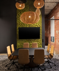 Lighting in ZOA Energy Offices - Tampa