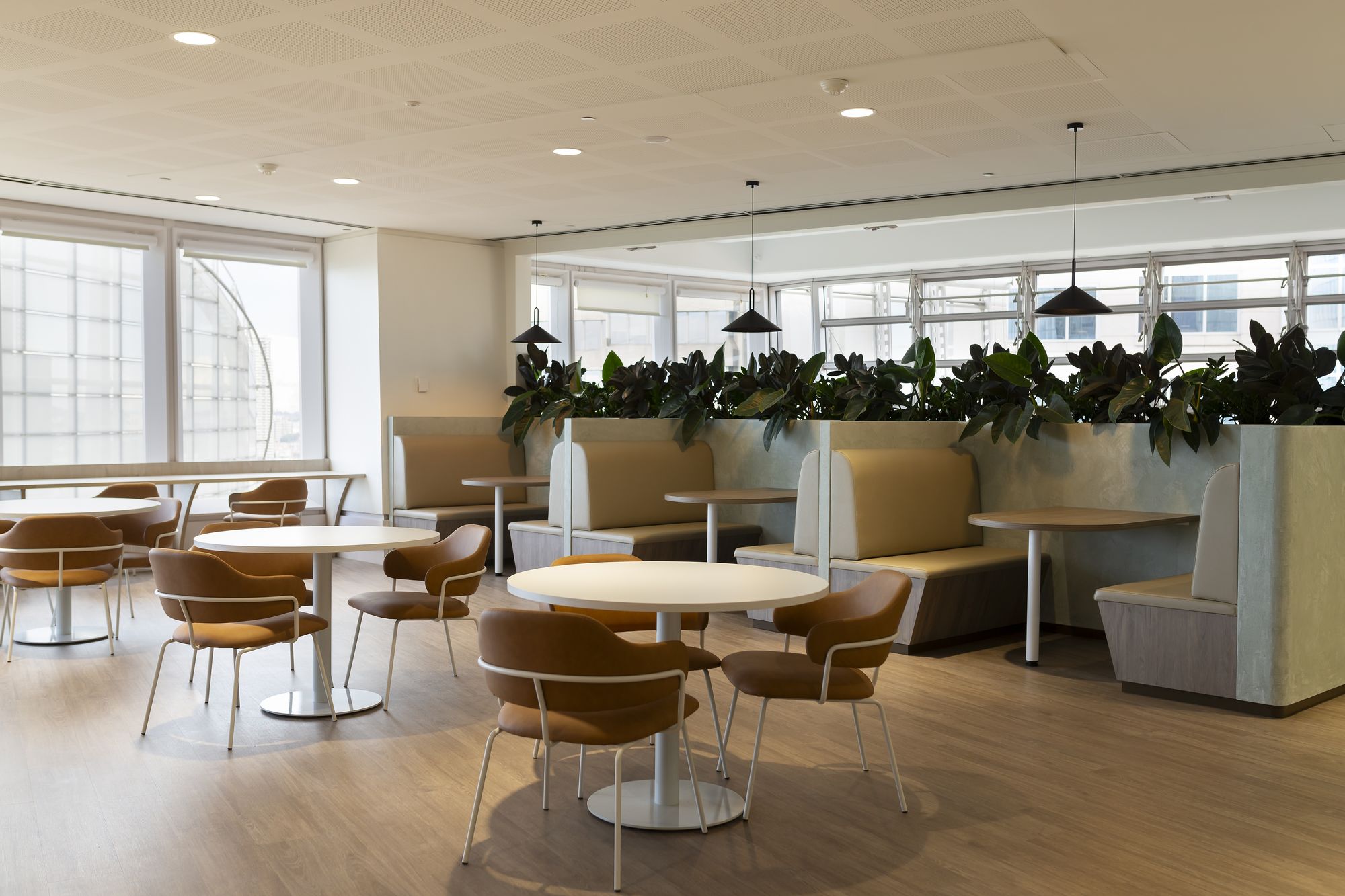 Korn Ferry Offices - Sydney | Office Snapshots