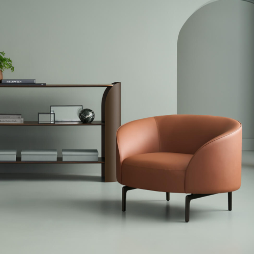 Arcular Lounge Chair - 0