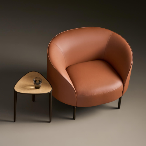 Arcular Lounge Chair - 0