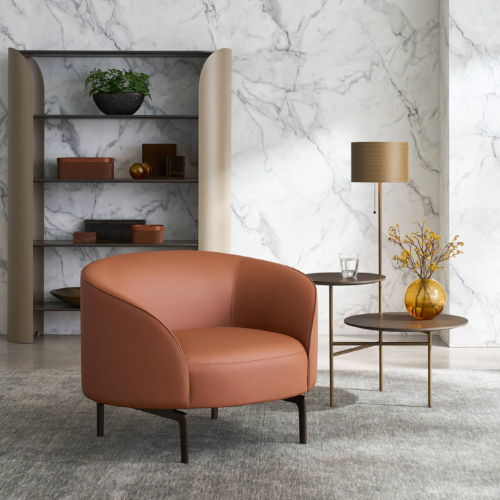 Arcular Lounge Chair - 0