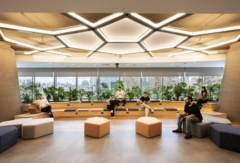 Low Stool in BASF Offices - Istanbul