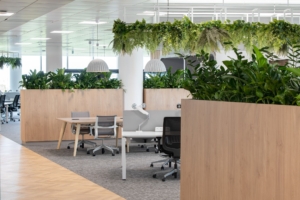 Sage Offices - Reading