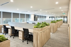 Task Chair in Bank Negara Indonesia Offices - Singapore