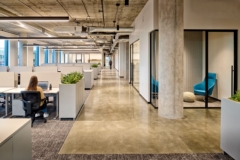 Suspended Cylinder / Round in Federal Realty Offices - San Jose