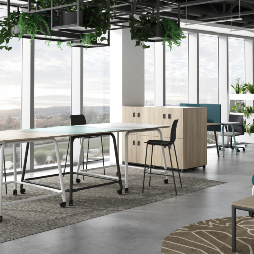 Allé Collection - 0