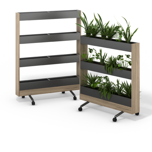 Allé Collection - 0