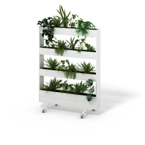 Allé Collection - 0