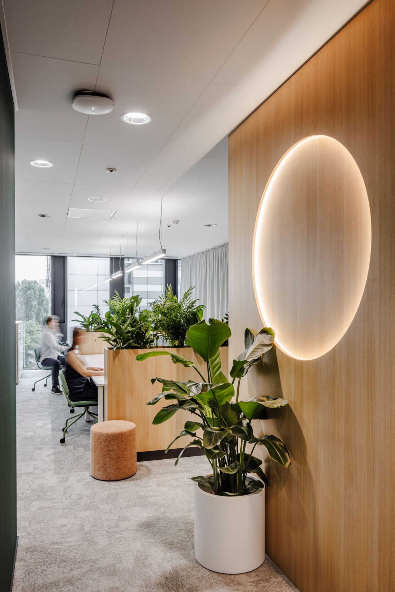 Lux Med Offices - Warsaw | Office Snapshots