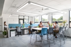 Drop Ceiling in Elizabeth River Project Offices - Norfolk