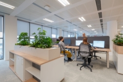 Drop Ceiling in Niterra Offices - Milan