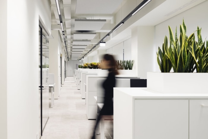 Ciam Offices - Assisi - 6