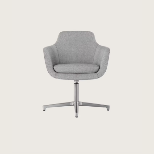 Geiger - Saiba Conference Chair