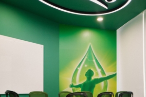 Suntory Beverage & Food Asia Pacific Offices - Singapore