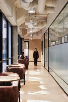 People in 235 Pyrmont Street Offices - Pyrmont