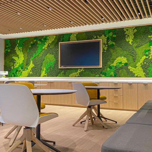 Gardens with Moss Combinations - 0