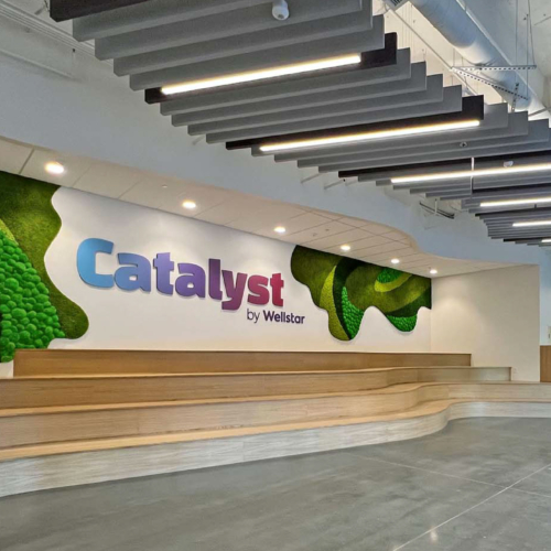 Gardens with Moss Combinations - 0