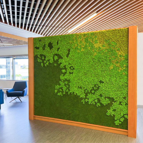 Gardens with Moss Combinations - 0