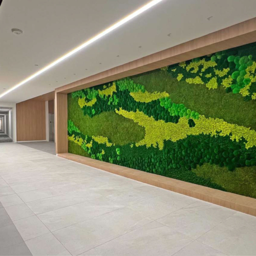 Gardens with Moss Combinations - 0