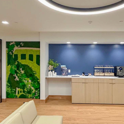 Gardens with Moss Combinations - 0