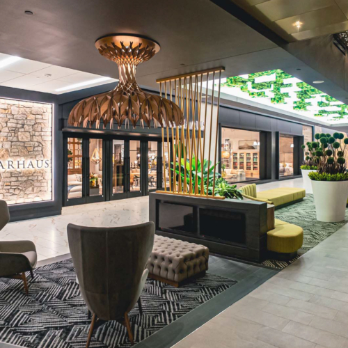 Gardens with Moss Combinations - 0