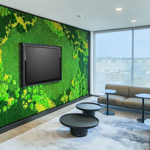 Gardens with Moss Combinations - 0