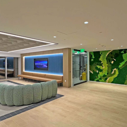 Gardens with Moss Combinations - 0