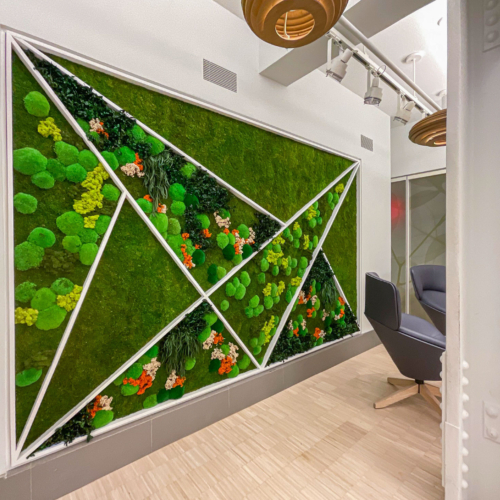 Gardens with Flower Foliage - 0