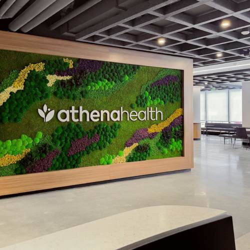 Gardens with Flower Foliage - 0