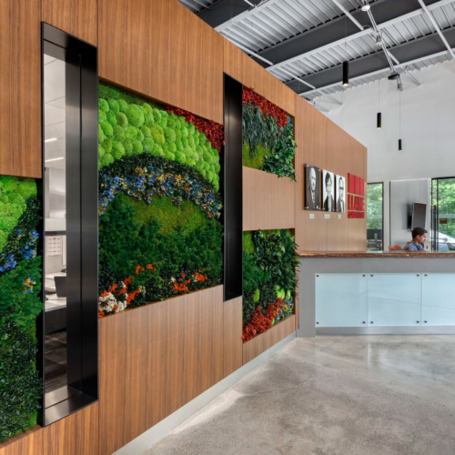 Gardens with Flower Foliage - 0