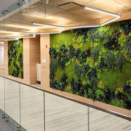 Gardens with Flower Foliage - 0