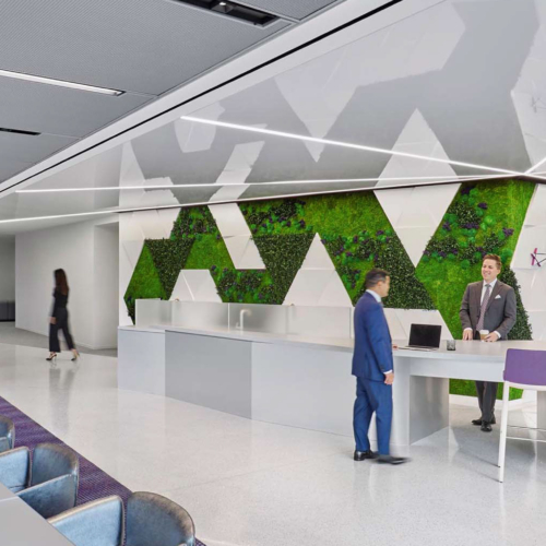 Gardens with Flower Foliage - 0