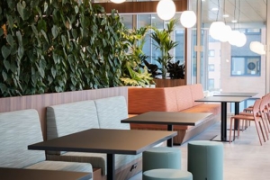 The Den Coworking Offices - Rijswijk