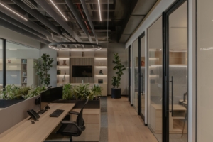 Villanueva Offices - Mexico City