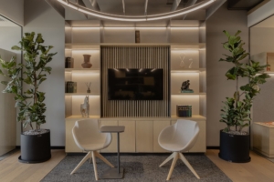 Villanueva Offices - Mexico City